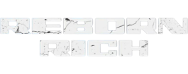 Reborn Rich